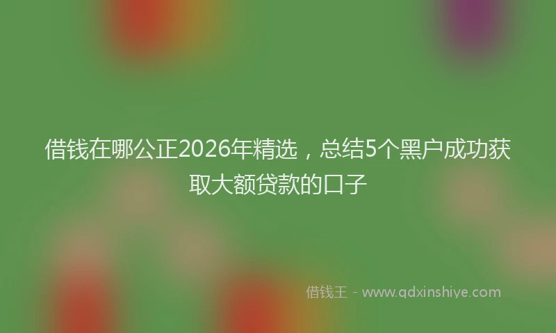借钱在哪公正2026年精选,总结5个黑户成功获取大额贷款的口子