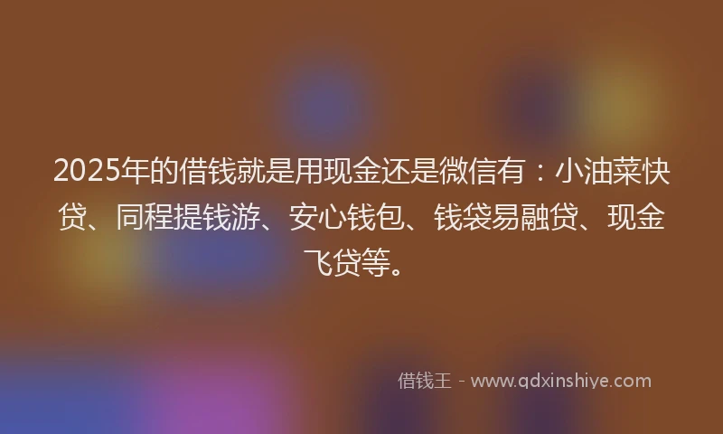 2025年的借钱就是用现金还是微信有：小油菜快贷、同程提钱游、安心钱包、钱袋易融贷、现金飞贷等。
