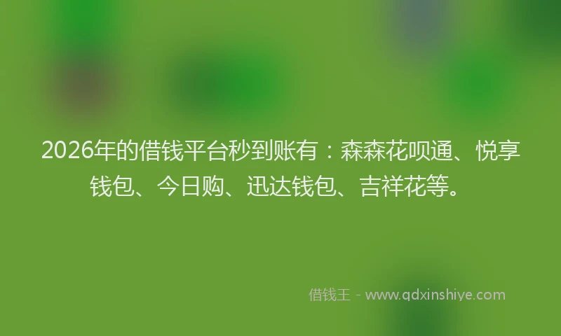 2026年的借钱平台秒到账有：森森花呗通、悦享钱包、今日购、迅达钱包、吉祥花等。