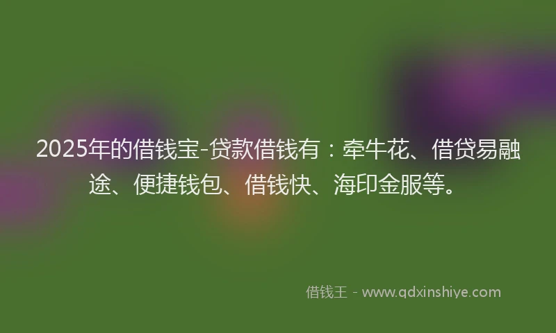 2025年的借钱宝-贷款借钱有：牵牛花、借贷易融途、便捷钱包、借钱快、海印金服等。