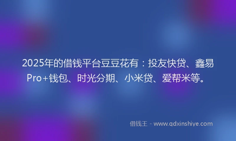 2025年的借钱平台豆豆花有：投友快贷、鑫易Pro+钱包、时光分期、小米贷、爱帮米等。