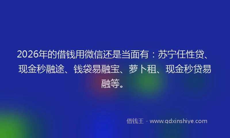 2026年的借钱用微信还是当面有:苏宁任性贷、现金秒融途、钱袋易融宝、萝卜租、现金秒贷易融等。