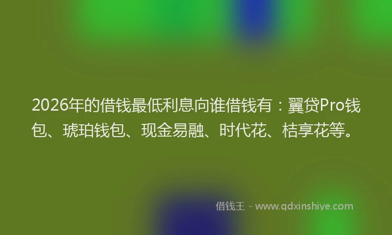 2026年的借钱最低利息向谁借钱有：翼贷Pro钱包、琥珀钱包、现金易融、时代花、桔享花等。