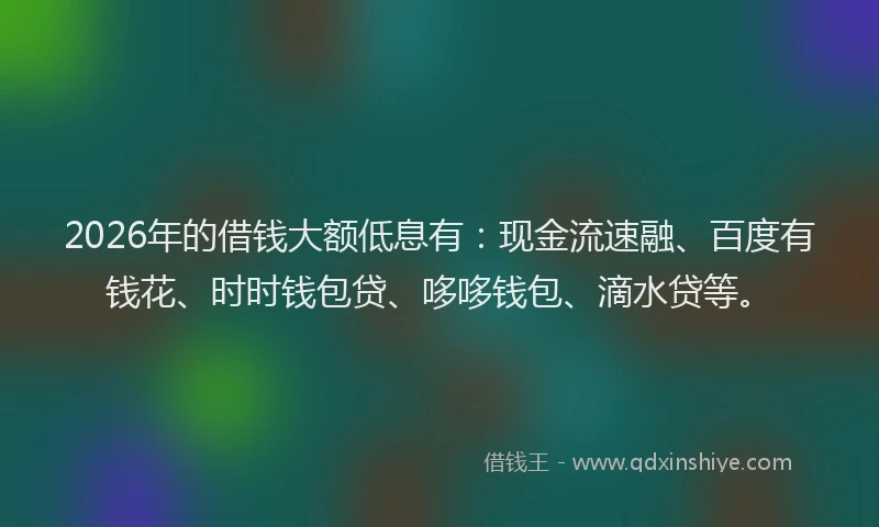 2026年的借钱大额低息有:现金流速融、百度有钱花、时时钱包贷、哆哆钱包、滴水贷等。