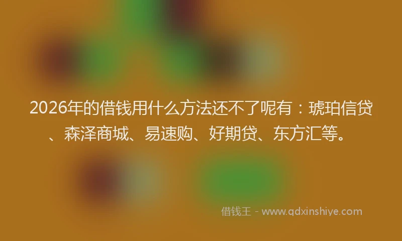 2026年的借钱用什么方法还不了呢有：琥珀信贷、森泽商城、易速购、好期贷、东方汇等。