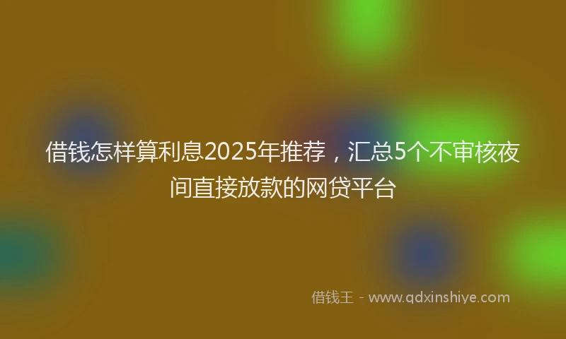 借钱怎样算利息2025年推荐，汇总5个不审核夜间直接放款的网贷平台