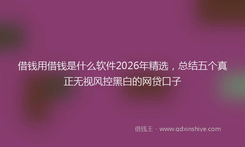 借钱用借钱是什么软件2026年精选，总结五个真正无视风控黑白的网贷口子