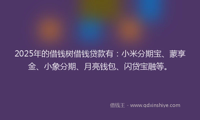 2025年的借钱树借钱贷款有：小米分期宝、蒙享金、小象分期、月亮钱包、闪贷宝融等。