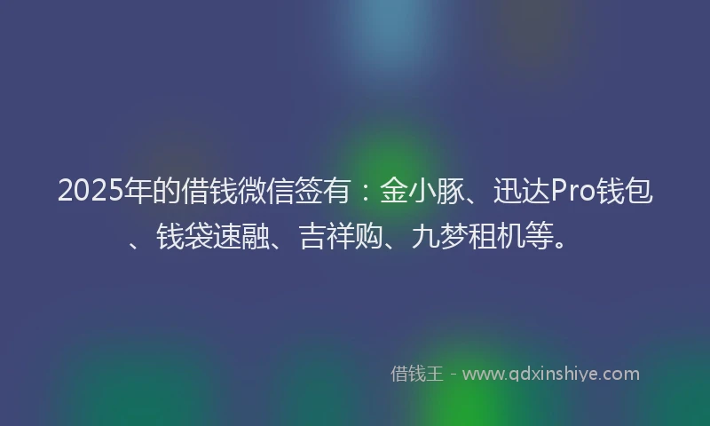 2025年的借钱微信签有：金小豚、迅达Pro钱包、钱袋速融、吉祥购、九梦租机等。
