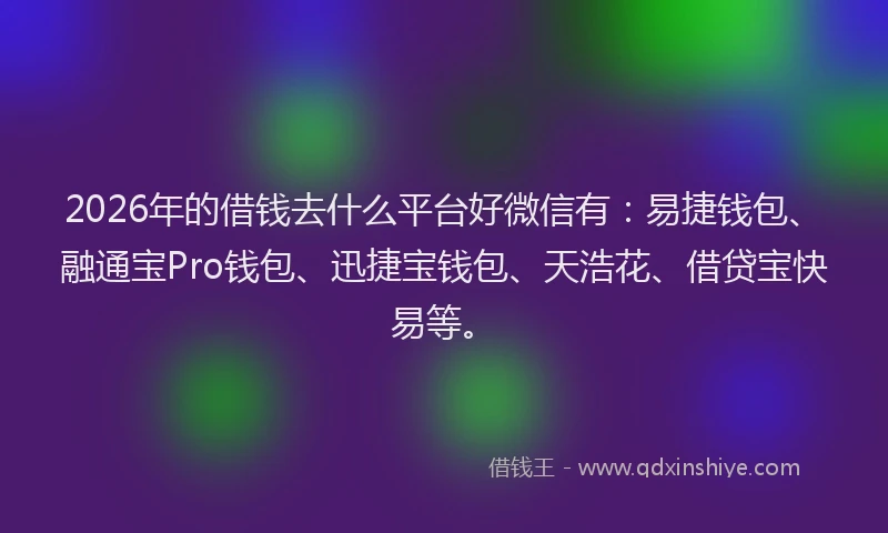 2026年的借钱去什么平台好微信有:易捷钱包、融通宝Pro钱包、迅捷宝钱包、天浩花、借贷宝快易等。