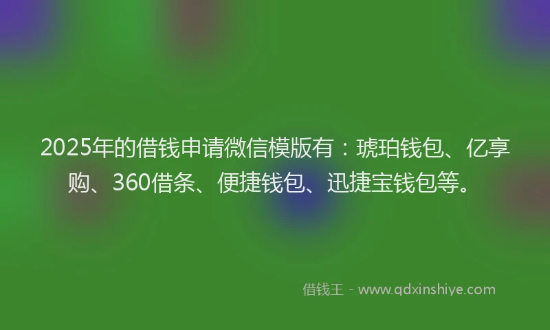 2025年的借钱申请微信模版有：琥珀钱包、亿享购、360借条、便捷钱包、迅捷宝钱包等。