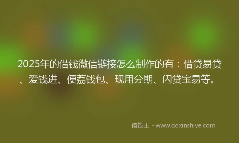 2025年的借钱微信链接怎么制作的有：借贷易贷、爱钱进、便荔钱包、现用分期、闪贷宝易等。