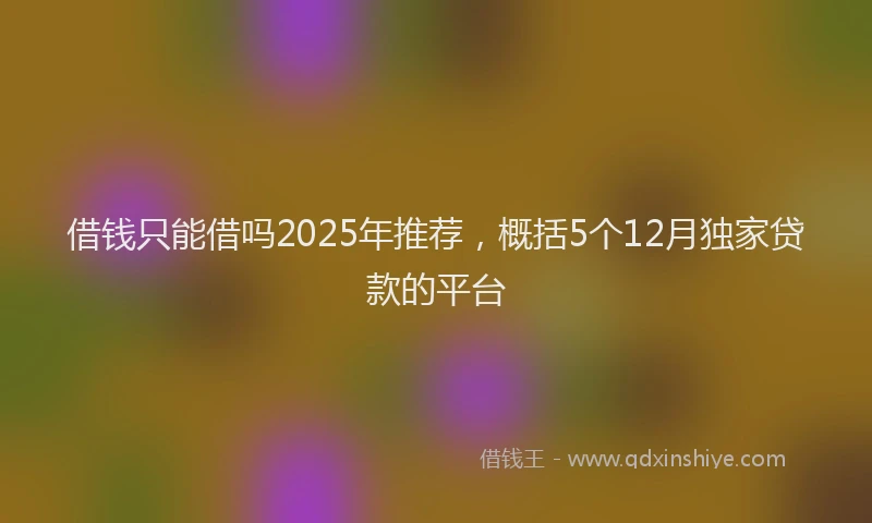 借钱只能借吗2025年推荐，概括5个12月独家贷款的平台