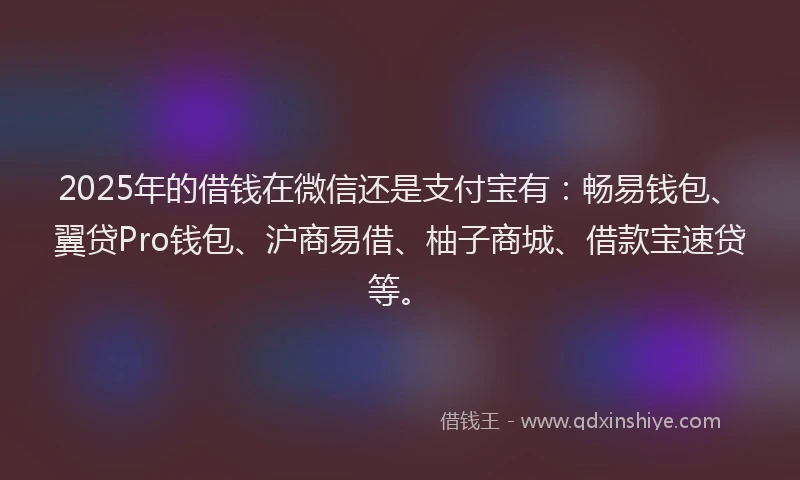 2025年的借钱在微信还是支付宝有：畅易钱包、翼贷Pro钱包、沪商易借、柚子商城、借款宝速贷等。