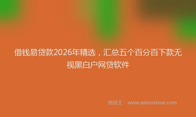 借钱易贷款2026年精选，汇总五个百分百下款无视黑白户网贷软件