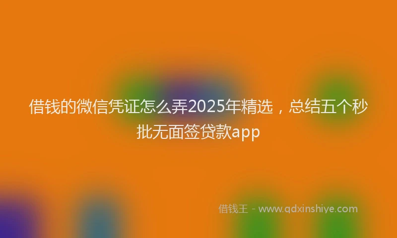 借钱的微信凭证怎么弄2025年精选，总结五个秒批无面签贷款app