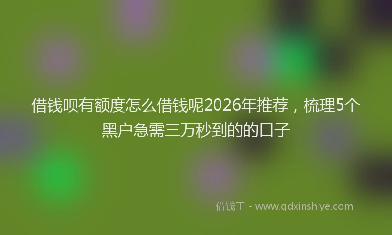 借钱呗有额度怎么借钱呢2026年推荐,梳理5个黑户急需三万秒到的的口子