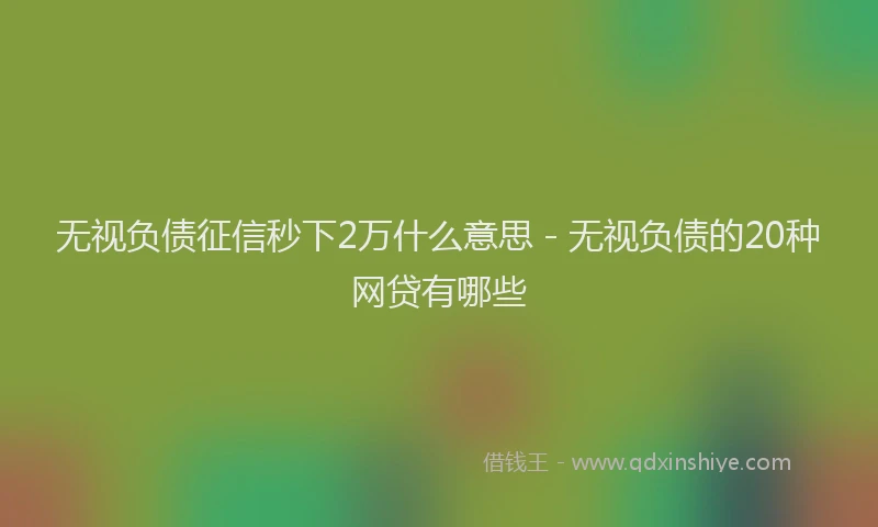 无视负债征信秒下2万什么意思 - 无视负债的20种网贷有哪些