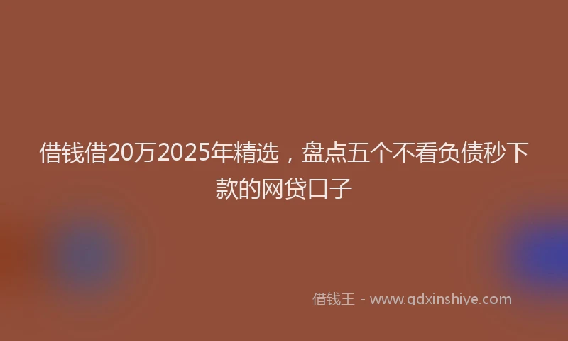 借钱借20万2025年精选，盘点五个不看负债秒下款的网贷口子