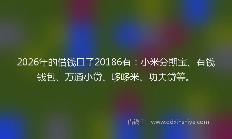 2026年的借钱口子20186有：小米分期宝、有钱钱包、万通小贷、哆哆米、功夫贷等。
