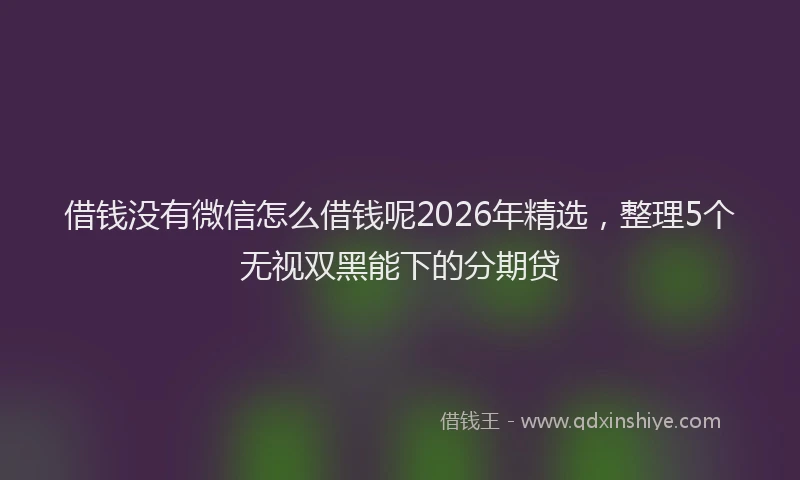 借钱没有微信怎么借钱呢2026年精选，整理5个无视双黑能下的分期贷