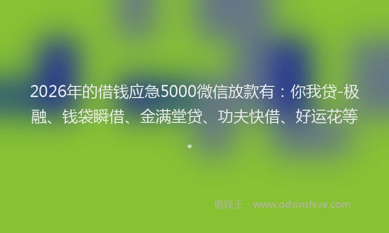 2026年的借钱应急5000微信放款有：你我贷-极融、钱袋瞬借、金满堂贷、功夫快借、好运花等。