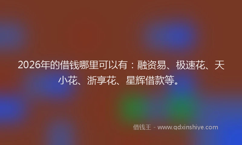 2026年的借钱哪里可以有:融资易、极速花、天小花、浙享花、星辉借款等。