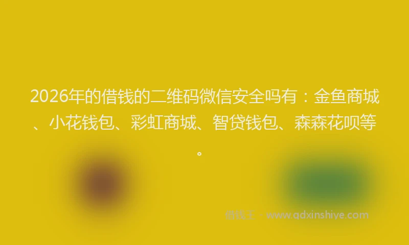 2026年的借钱的二维码微信安全吗有：金鱼商城、小花钱包、彩虹商城、智贷钱包、森森花呗等。