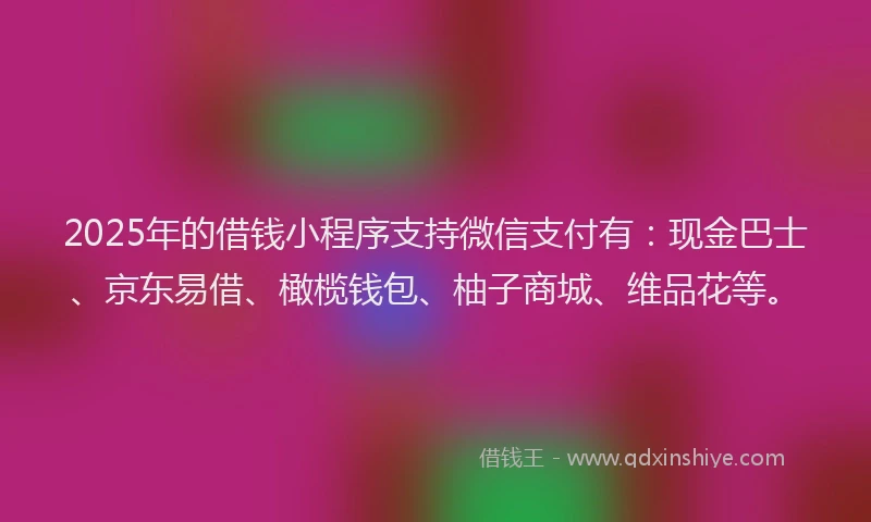 2025年的借钱小程序支持微信支付有:现金巴士、京东易借、橄榄钱包、柚子商城、维品花等。