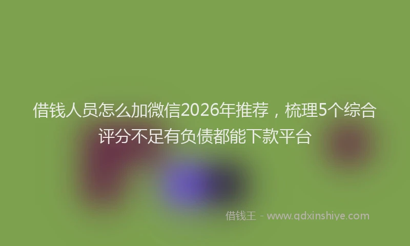借钱人员怎么加微信2026年推荐,梳理5个综合评分不足有负债都能下款平台