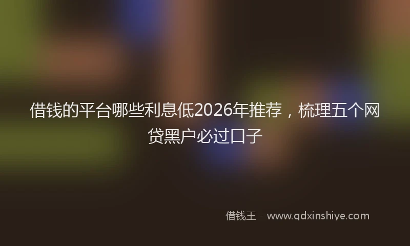 借钱的平台哪些利息低2026年推荐，梳理五个网贷黑户必过口子