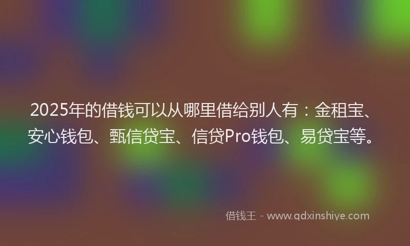 2025年的借钱可以从哪里借给别人有：金租宝、安心钱包、甄信贷宝、信贷Pro钱包、易贷宝等。