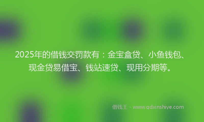 2025年的借钱交罚款有:金宝盒贷、小鱼钱包、现金贷易借宝、钱站速贷、现用分期等。