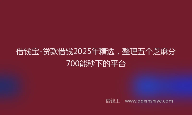 借钱宝-贷款借钱2025年精选，整理五个芝麻分700能秒下的平台