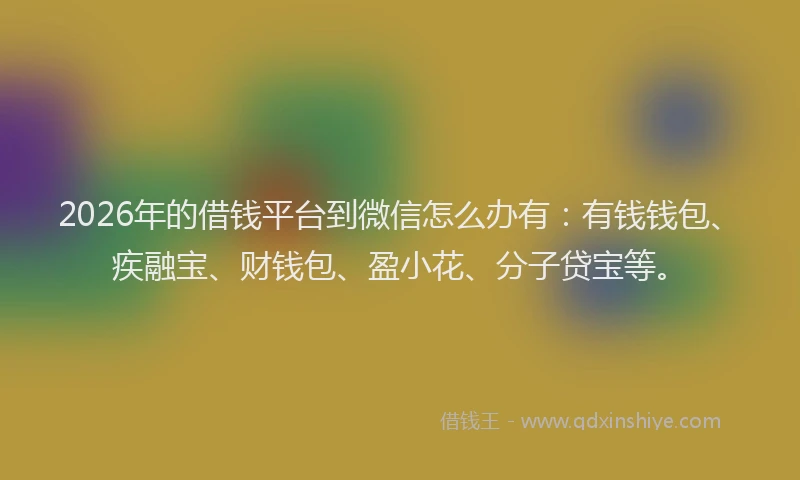 2026年的借钱平台到微信怎么办有：有钱钱包、疾融宝、财钱包、盈小花、分子贷宝等。