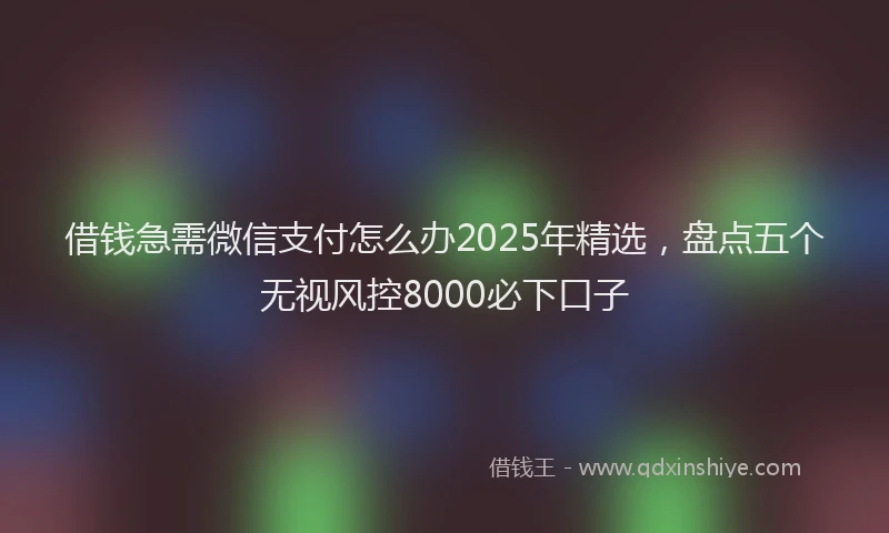 借钱急需微信支付怎么办2025年精选，盘点五个无视风控8000必下口子
