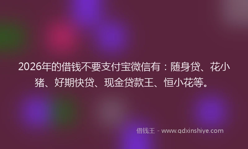 2026年的借钱不要支付宝微信有：随身贷、花小猪、好期快贷、现金贷款王、恒小花等。