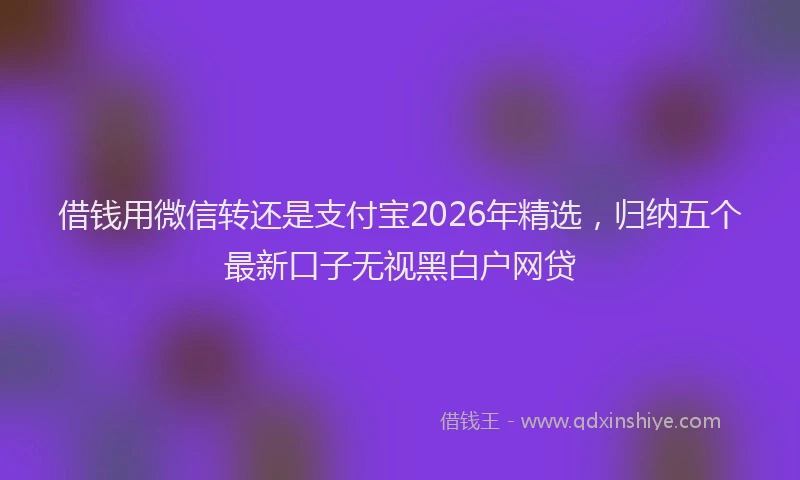 借钱用微信转还是支付宝2026年精选，归纳五个最新口子无视黑白户网贷