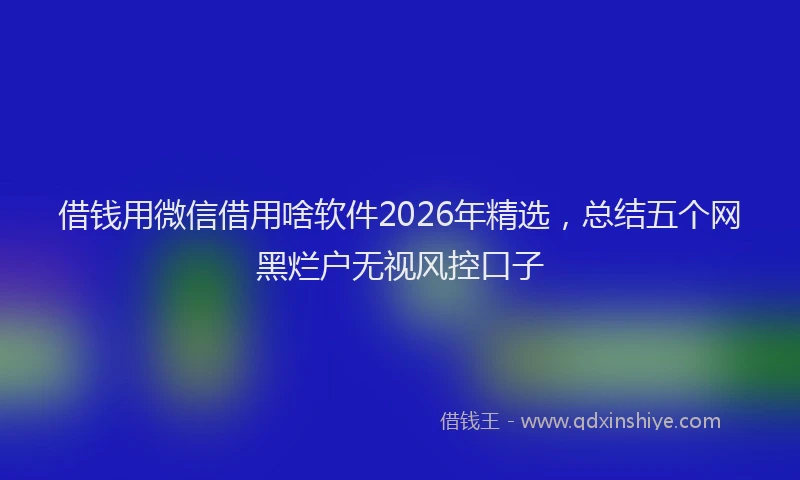借钱用微信借用啥软件2026年精选，总结五个网黑烂户无视风控口子