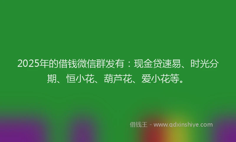 2025年的借钱微信群发有：现金贷速易、时光分期、恒小花、葫芦花、爱小花等。