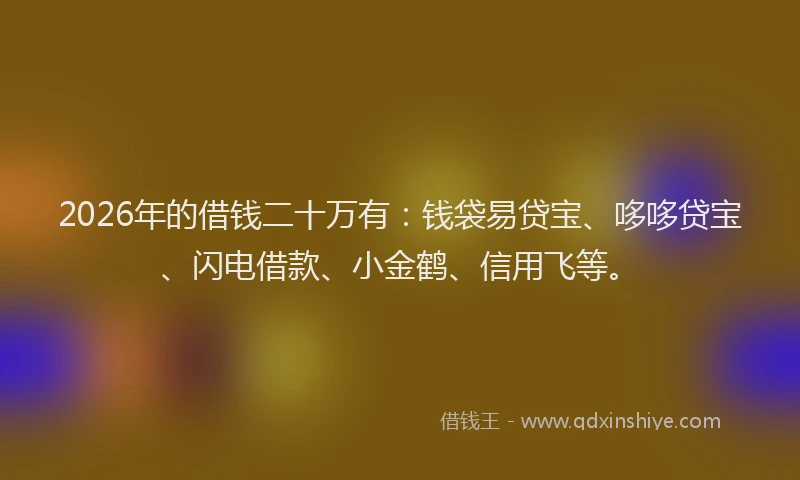 2026年的借钱二十万有：钱袋易贷宝、哆哆贷宝、闪电借款、小金鹤、信用飞等。