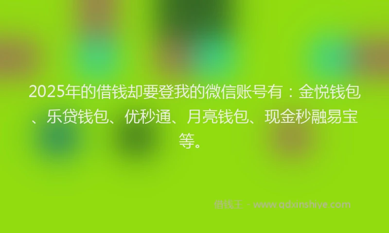 2025年的借钱却要登我的微信账号有:金悦钱包、乐贷钱包、优秒通、月亮钱包、现金秒融易宝等。