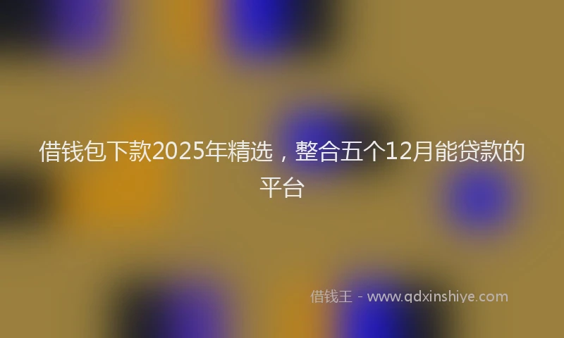 借钱包下款2025年精选，整合五个12月能贷款的平台