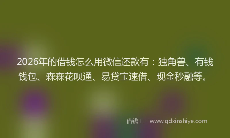 2026年的借钱怎么用微信还款有：独角兽、有钱钱包、森森花呗通、易贷宝速借、现金秒融等。