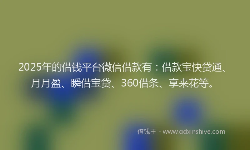2025年的借钱平台微信借款有：借款宝快贷通、月月盈、瞬借宝贷、360借条、享来花等。