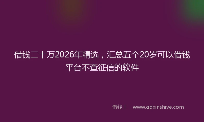 借钱二十万2026年精选，汇总五个20岁可以借钱平台不查征信的软件