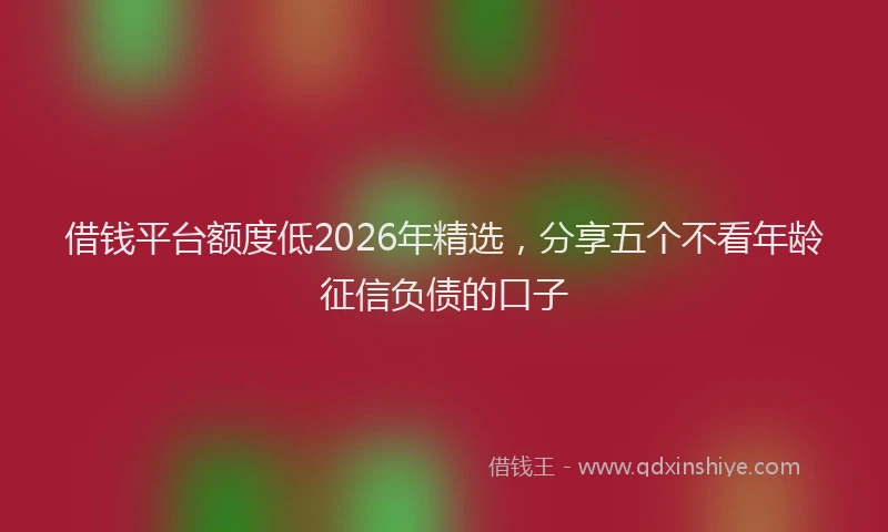 借钱平台额度低2026年精选，分享五个不看年龄征信负债的口子