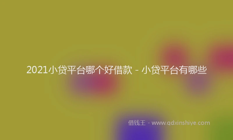 2021小贷平台哪个好借款 - 小贷平台有哪些