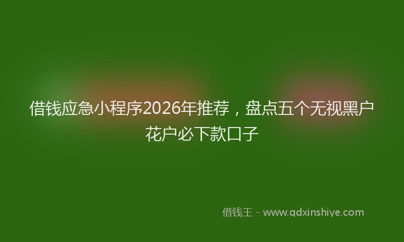 借钱应急小程序2026年推荐，盘点五个无视黑户花户必下款口子