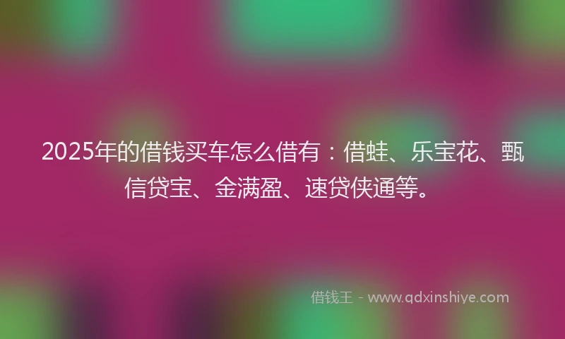 2025年的借钱买车怎么借有：借蛙、乐宝花、甄信贷宝、金满盈、速贷侠通等。